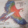 L'oiseau de Liberté(46cm-55cm)/BIRD OF FREEDOM